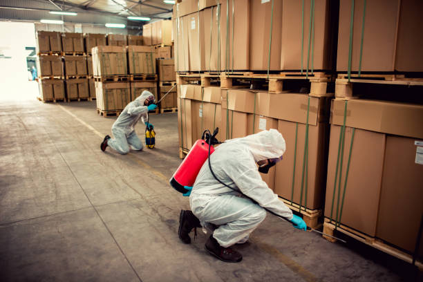 Best Mosquito Control Services  in Piedmont, SC