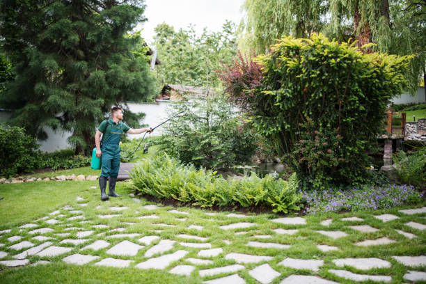 Best Pest Inspection Near Me  in Piedmont, SC