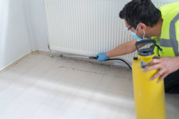 Best Commercial Pest Control Services  in Piedmont, SC
