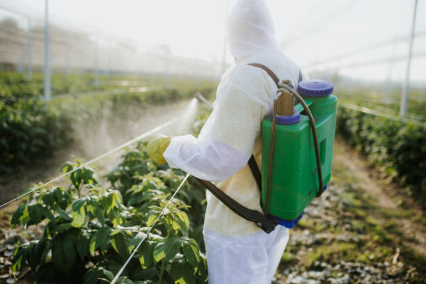 Best Best Pest Control Companies  in Piedmont, SC
